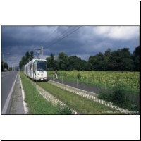 2002-08-02 5 604.jpg